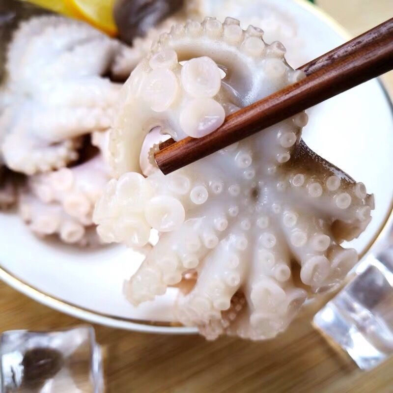 连云港发货八爪鱼冷冻发货6斤