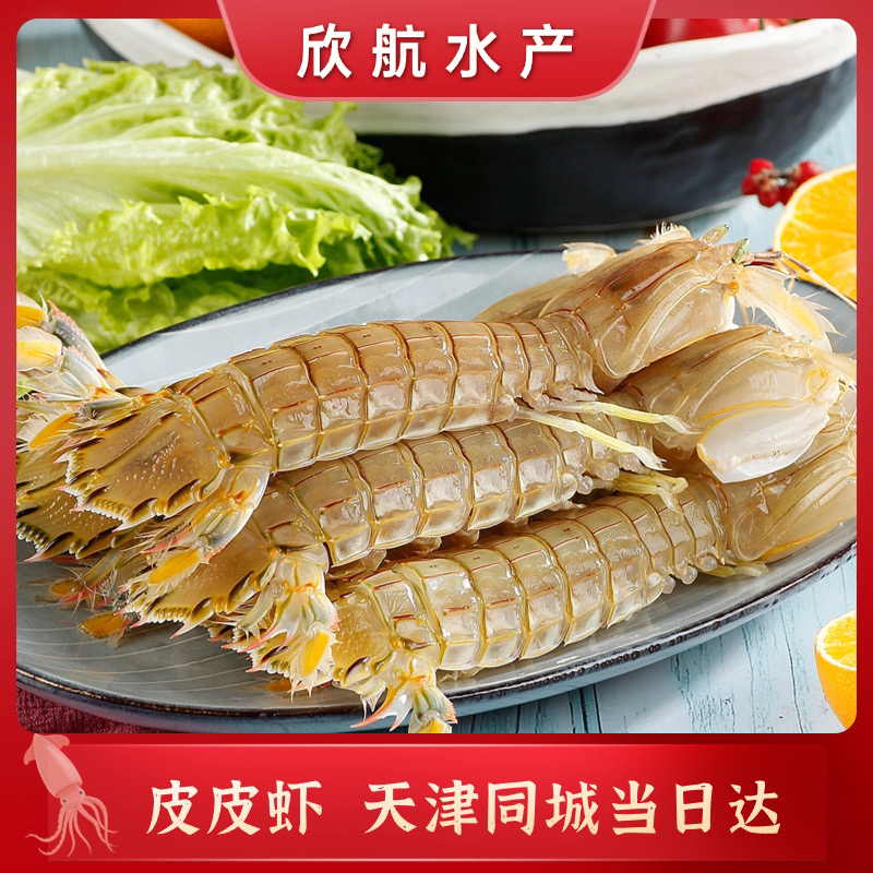 精品大皮皮虾【汉沽本地皮皮虾】，一斤12—15只左右，只发天津！