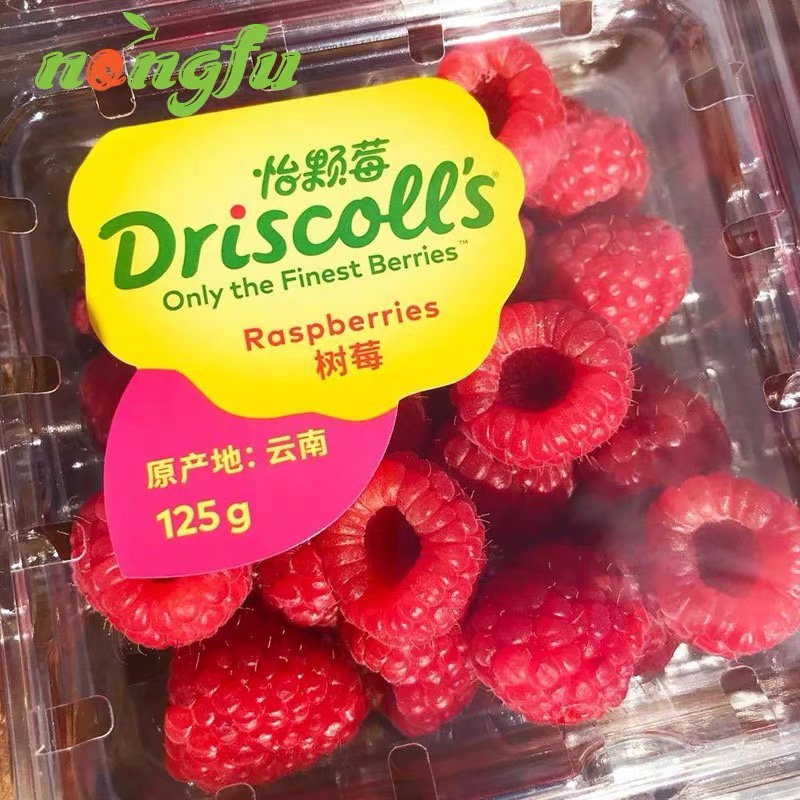【Y颗莓红树莓】浆果皇后