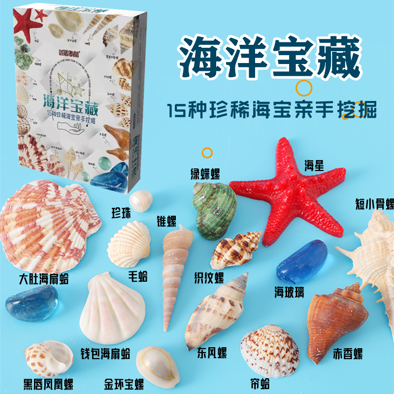 海洋宝藏儿童挖掘玩具海滩沙滩天然贝壳海螺海星小女孩挖宝石文创