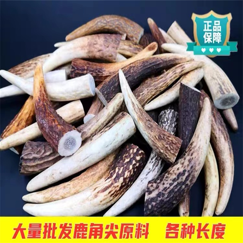 非金属布艺吊坠 天然原料真鹿角尖吊坠挂件 毛衣链项链烟斗雕刻料