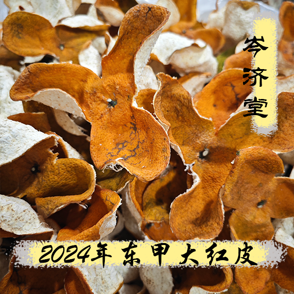 【2024年东甲圈枝大红皮】正宗新会陈皮核心产区生晒干仓陈化