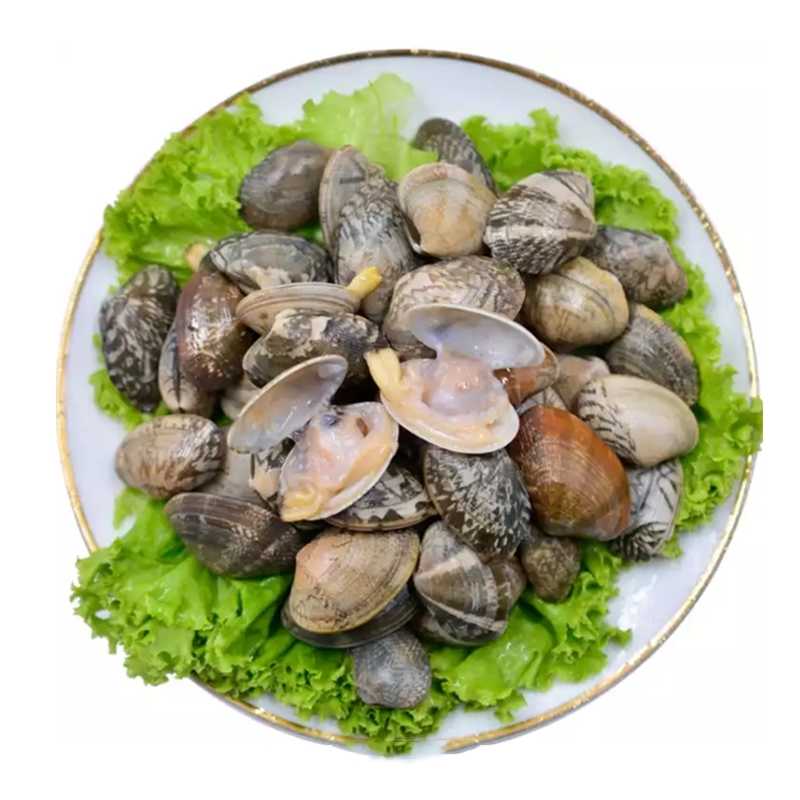 花甲 约500g(50-60粒)