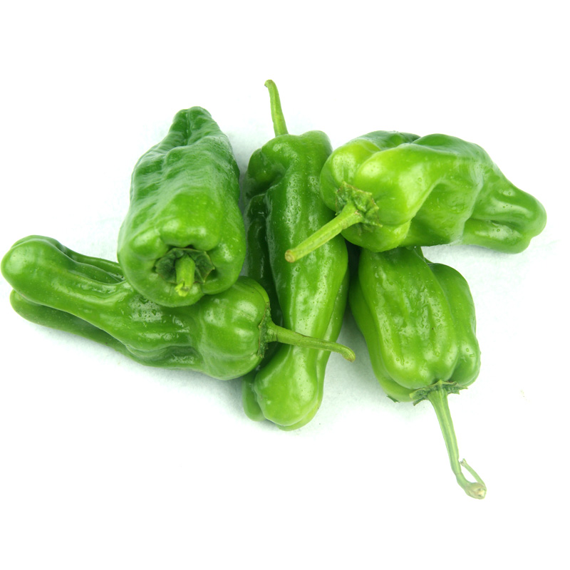 本地鲜青椒 约500g