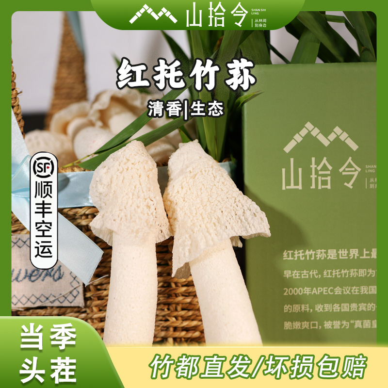 【鲜竹荪】贵州赤水红托竹荪无异味煲汤鲜美肉质肥厚头茬脆嫩天然