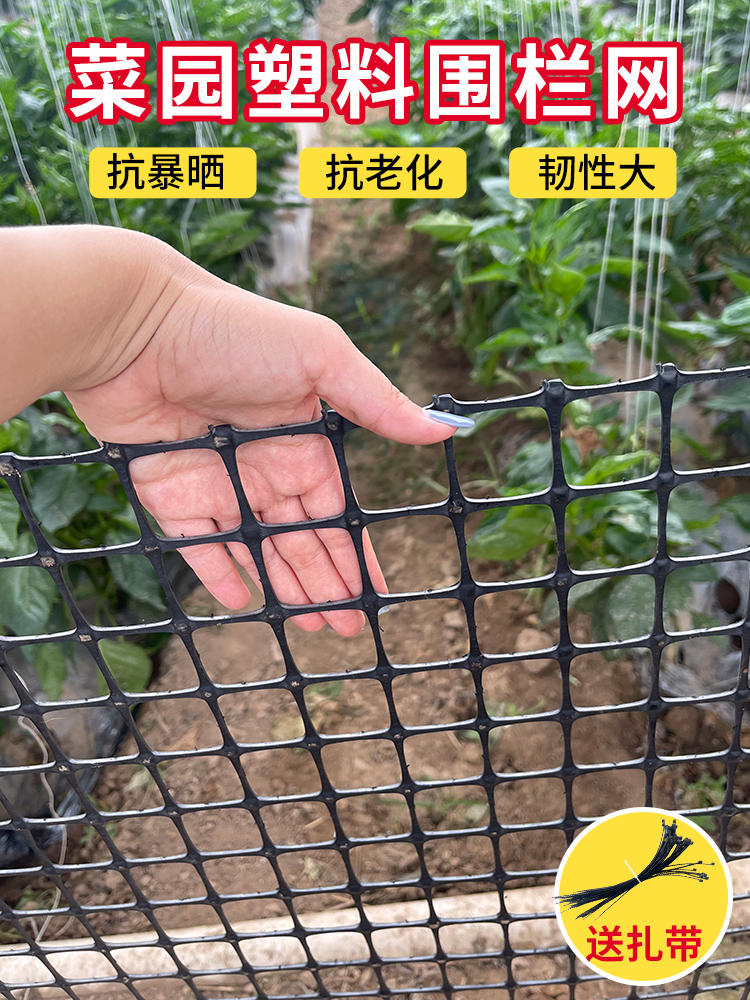 养鸡围栏网养殖网塑料网围栏家禽安全防护网隔离栅栏漏粪护栏