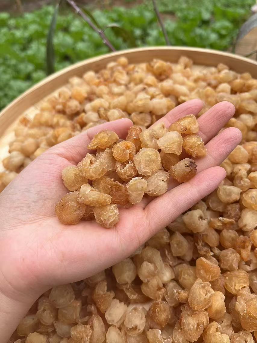 【源头山货】 无硫桂圆干新鲜自然采摘无硫。自然晒干