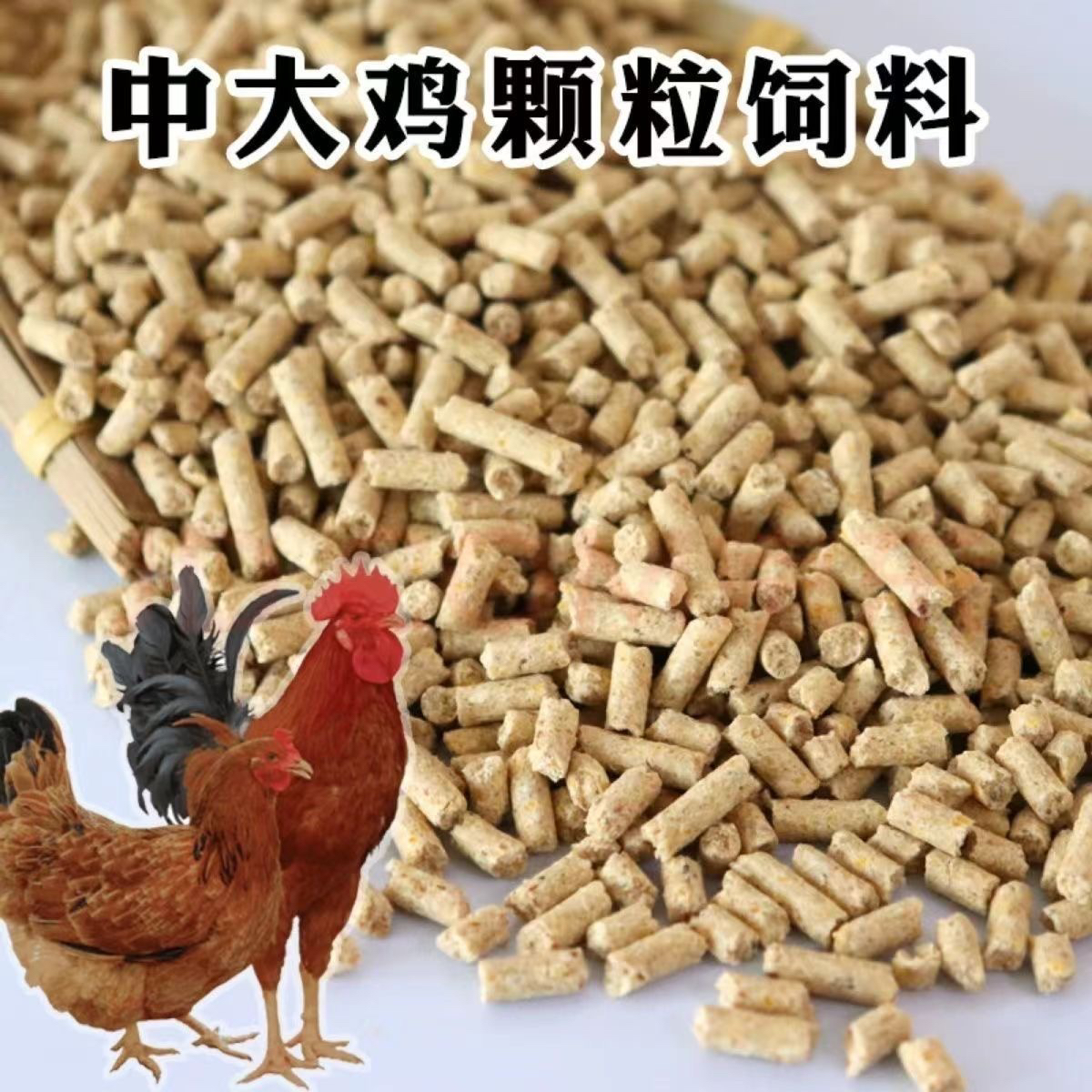 红玉饲料 大红公鸡饲料 好喂养