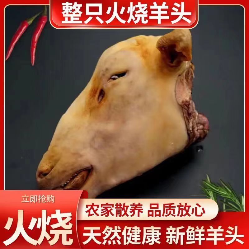 新鲜精选带皮羊头火烧去毛工艺干净卫生麻辣羊头必备原材料