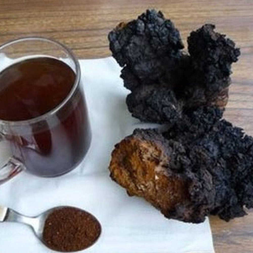 新西伯利亚白桦茸一盒30小包干净独立浓郁颗粒盒装