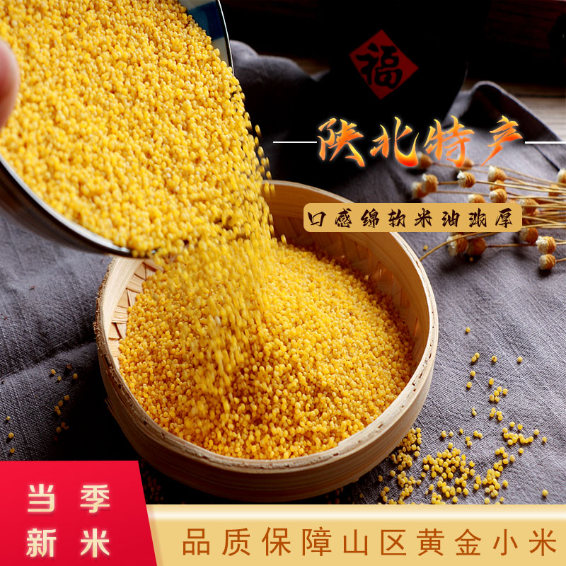 陕北米脂农家油小米自产黏糯黄小米5斤新鲜严选食用2023年新米