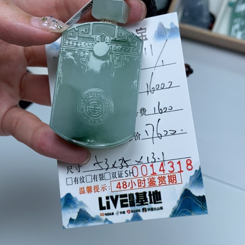 【闪购商品】翡翠颈饰未镶嵌