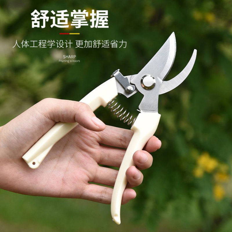 修枝剪剪树枝专用剪子园林园艺省力花枝剪果摘果剪粗枝果树修剪刀