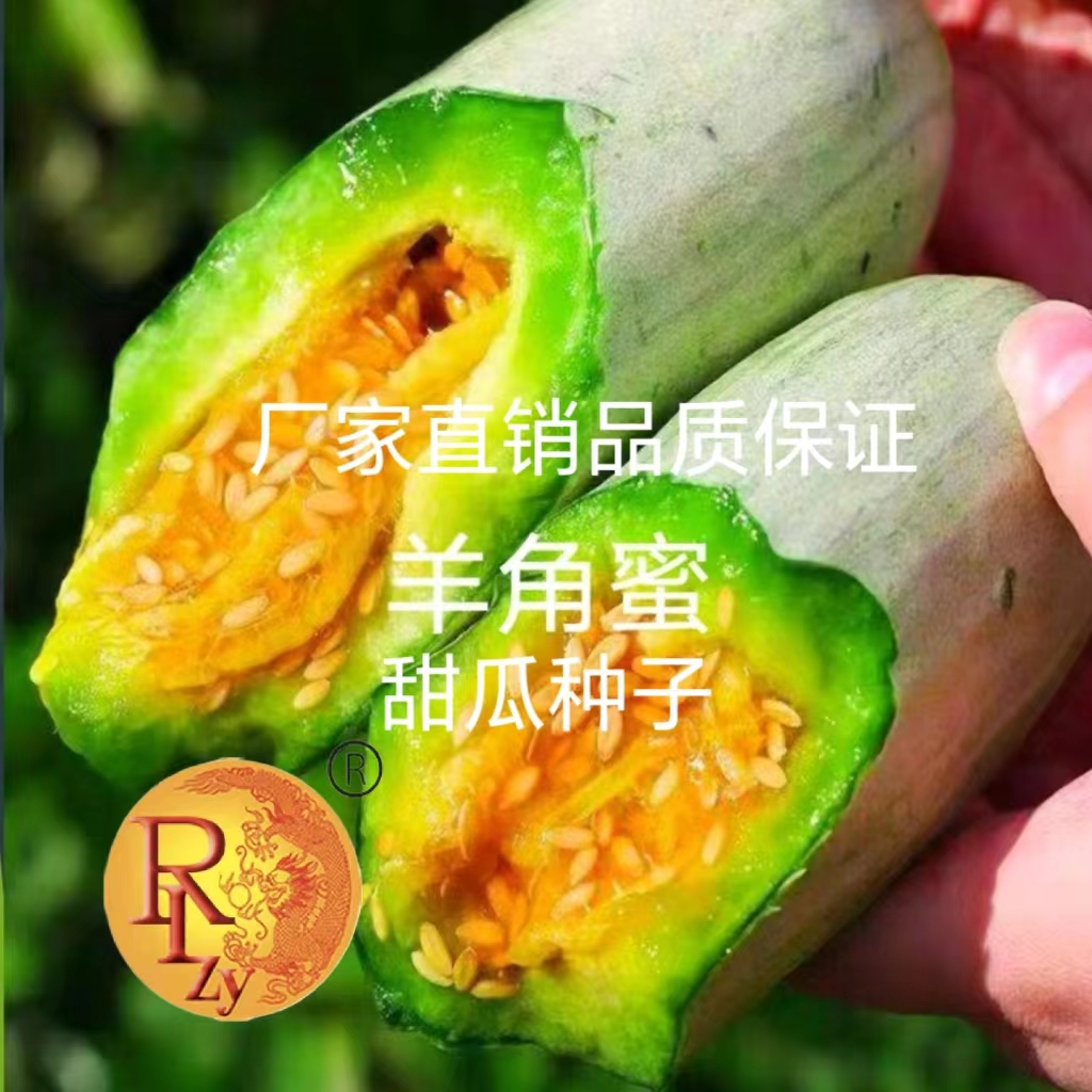 羊角蜜脆甜薄皮香瓜甜瓜种子约500粒一袋