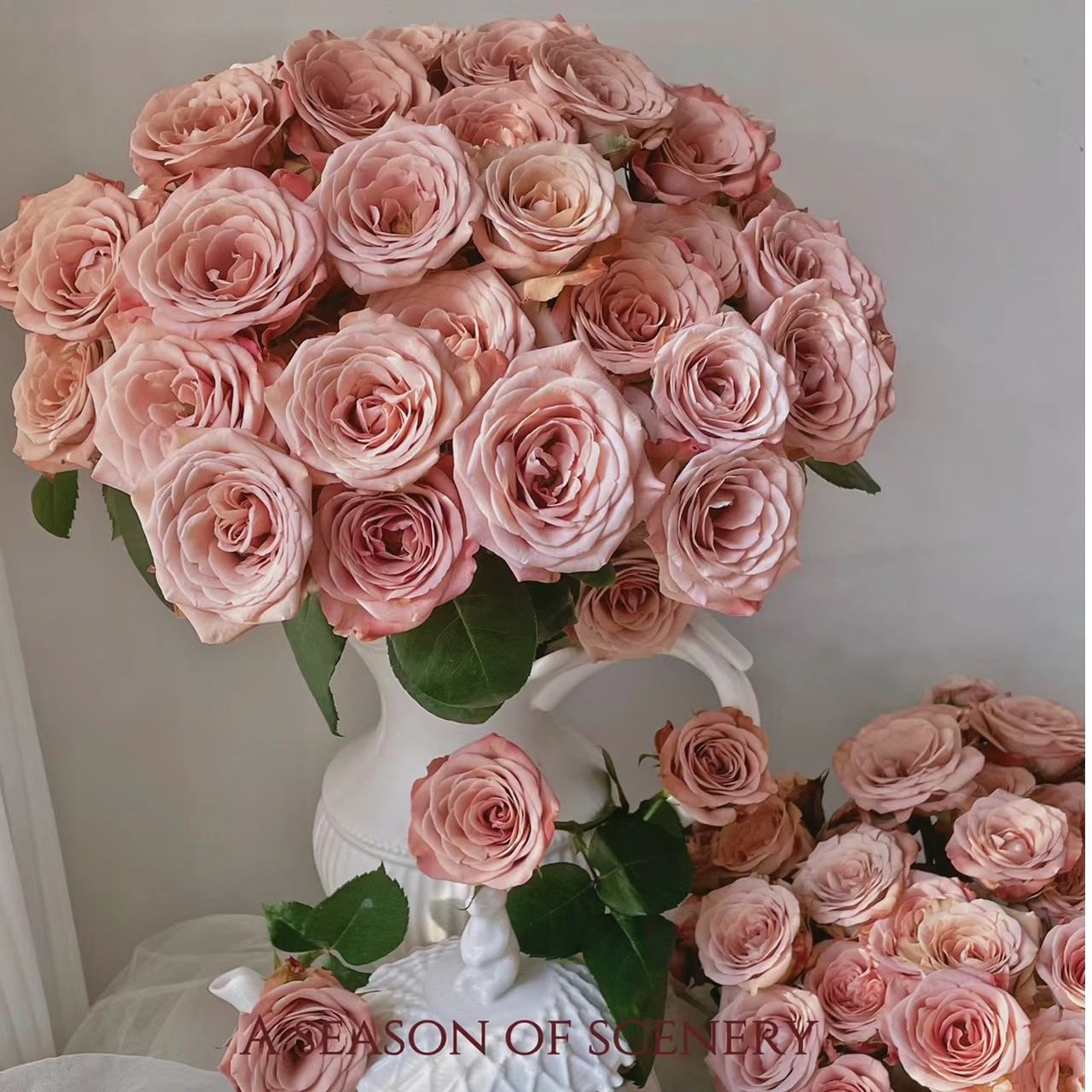 【花和优品】AA卡布奇诺——单头玫瑰