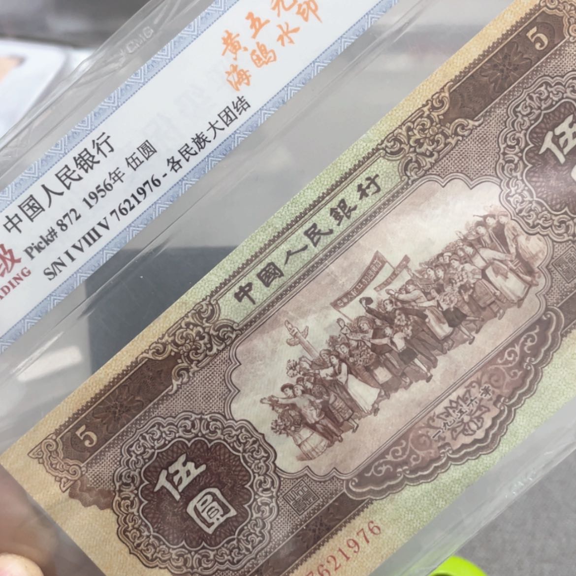 【闪购商品】佩*海鸥