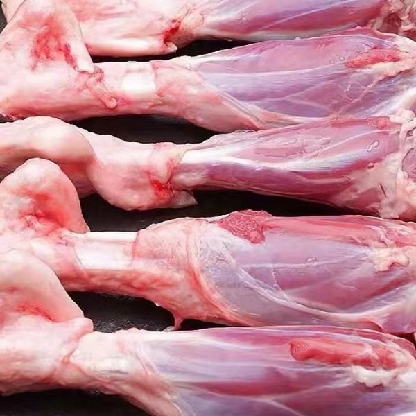 羊筒骨 现称多肉 直播