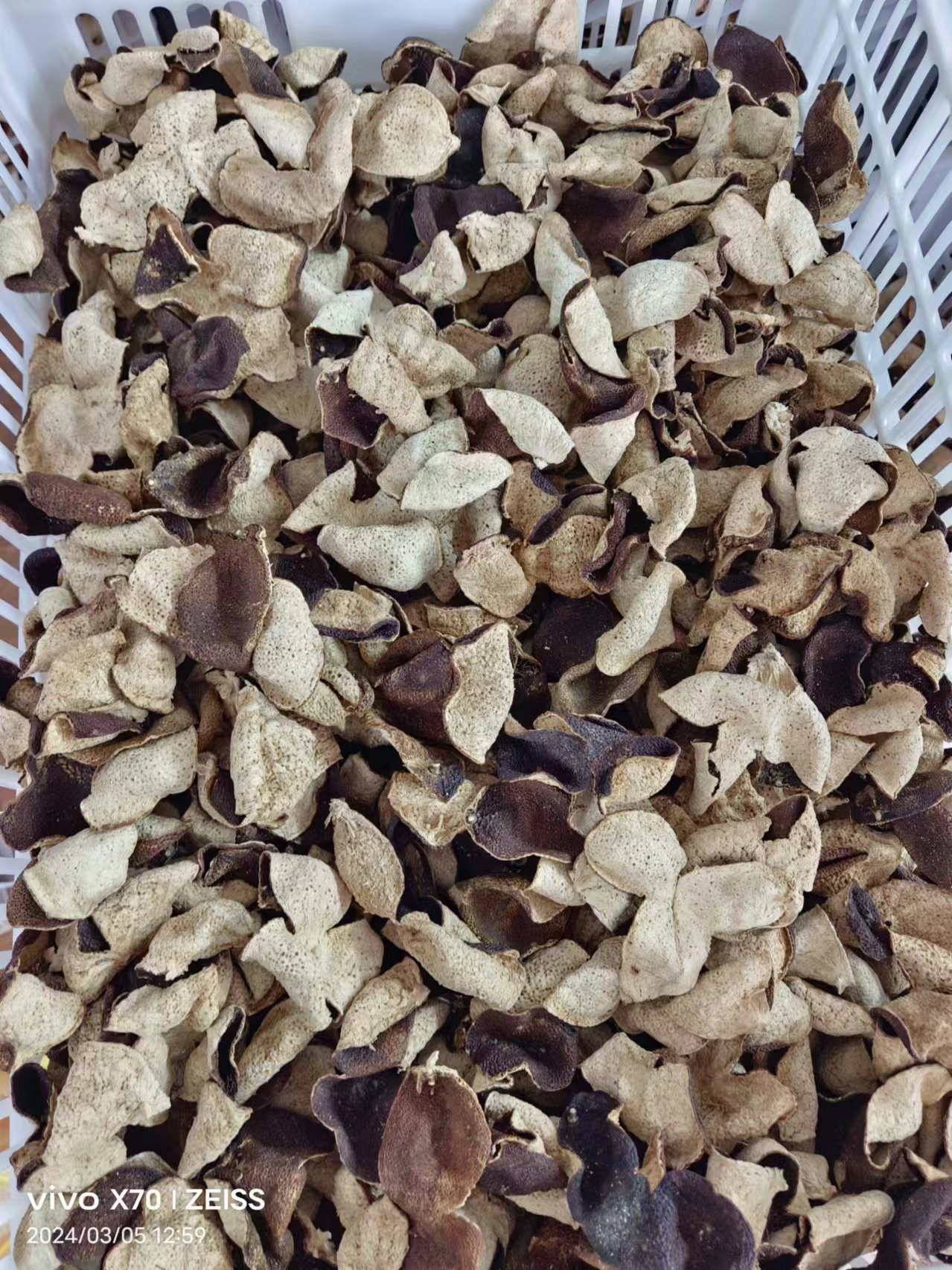 2017年新会区大泽镇大红皮