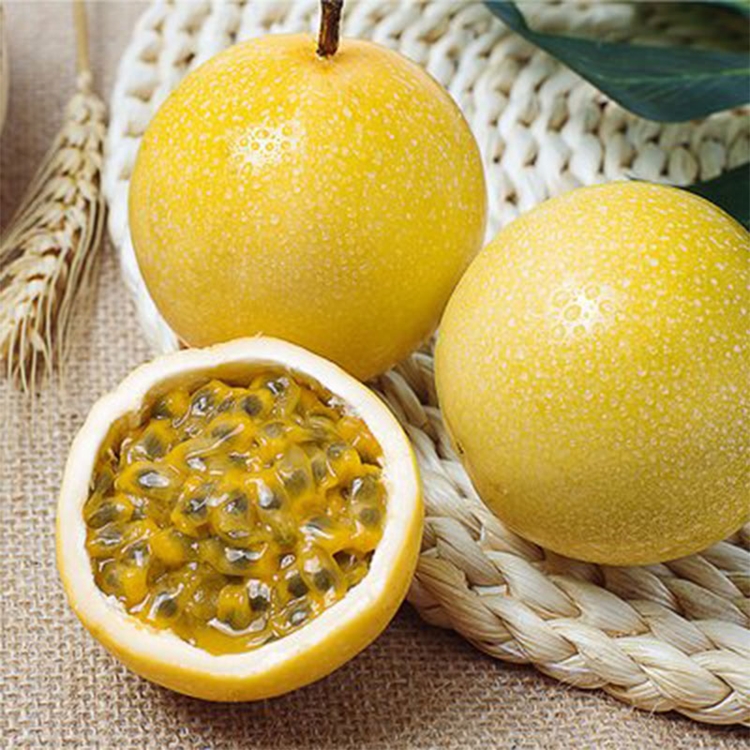 从化高山农户自种钦蜜9号黄金百香果新鲜当季香甜多汁