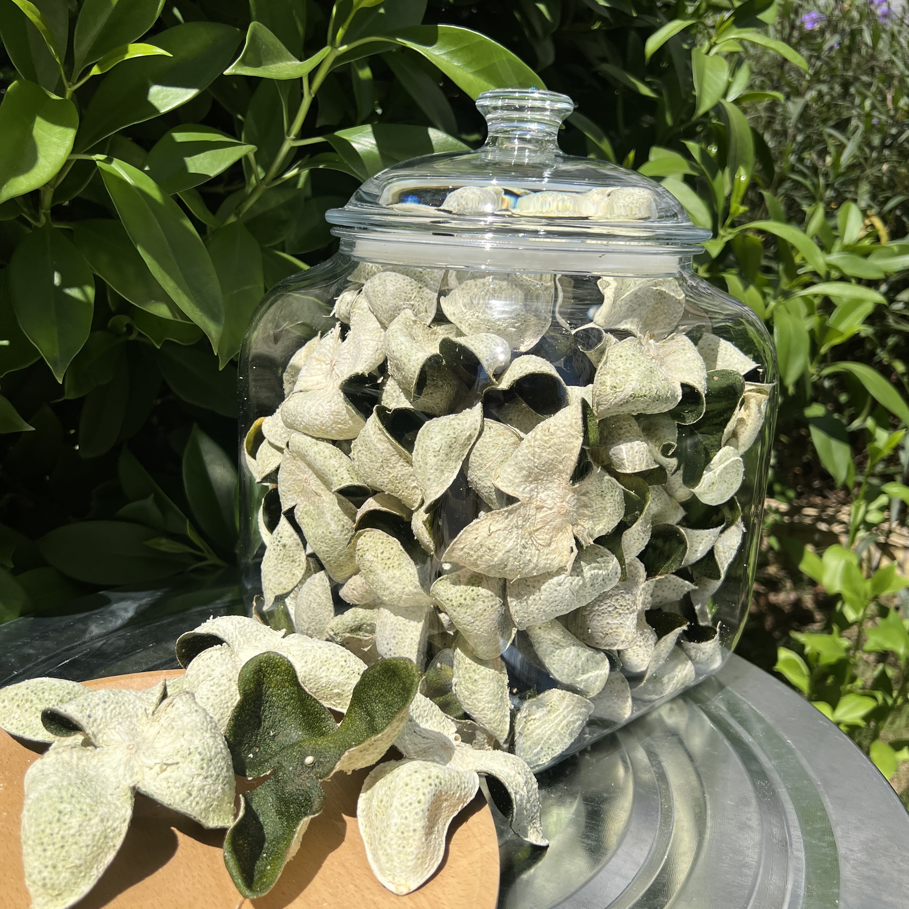 【 2025 小冈 十四年老树大青皮 】浓郁花香 高香 收藏级老树