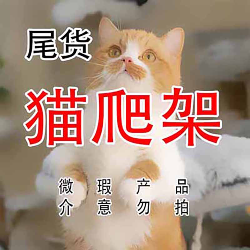 猫爬架NO退NO换仙人掌猫窝猫爬架猫树