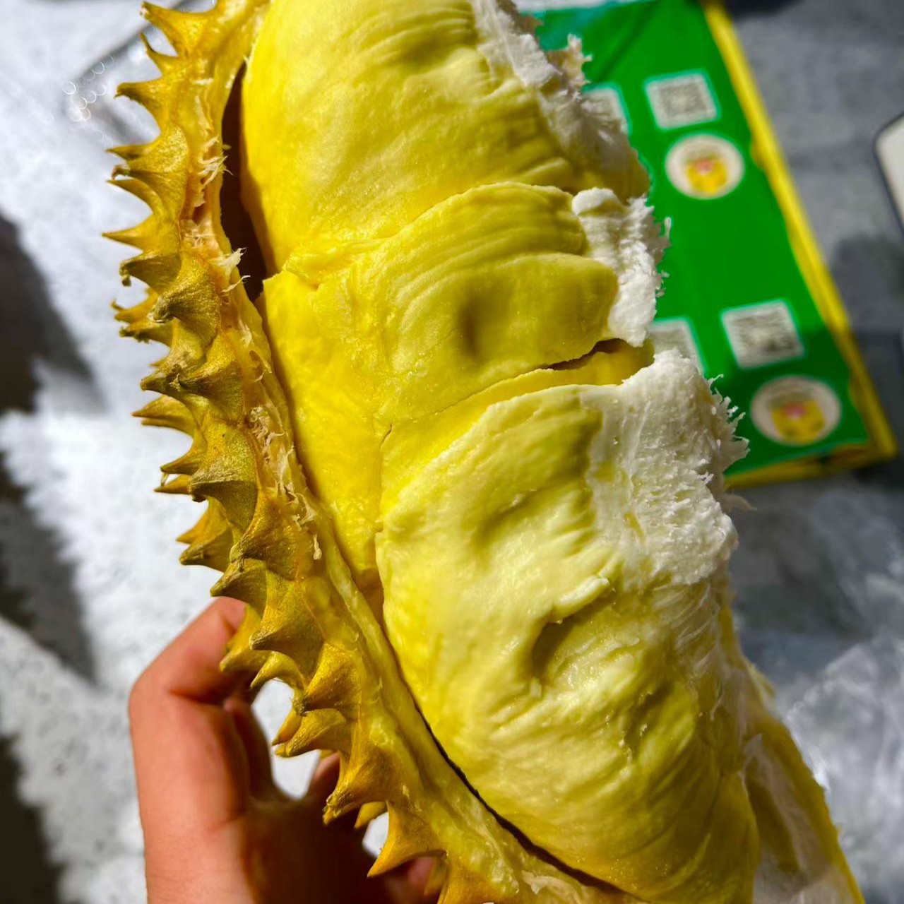 手挑金枕头榴莲(包40%出肉率，干包肉软糯香甜）