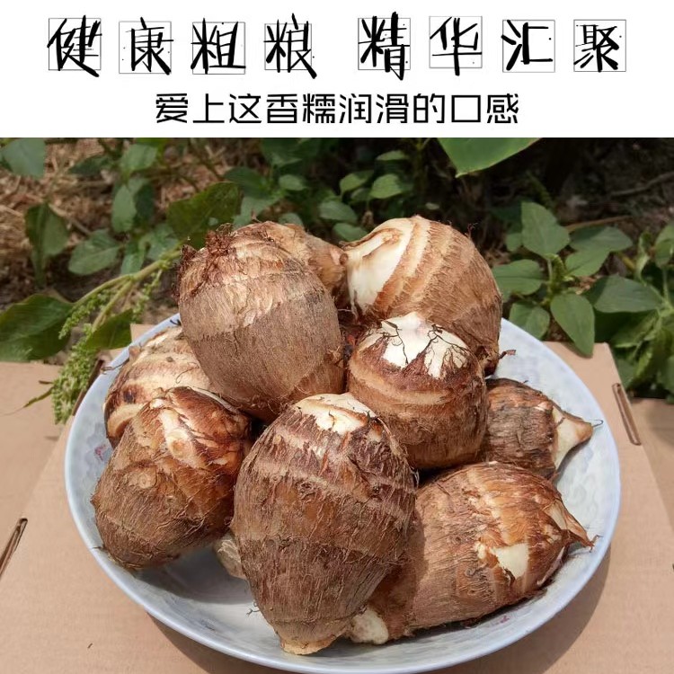 宜兴芋头当地红芽芋2斤装