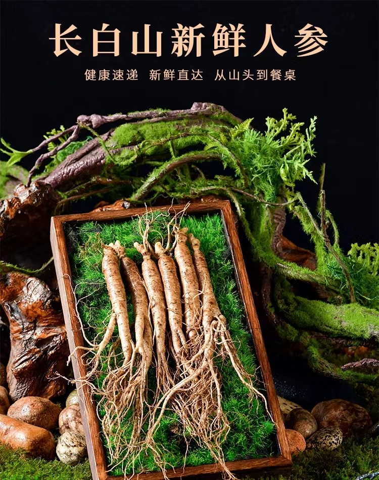 微瑕 长白山新鲜人参 产地直发 煲汤泡酒 顺丰包邮