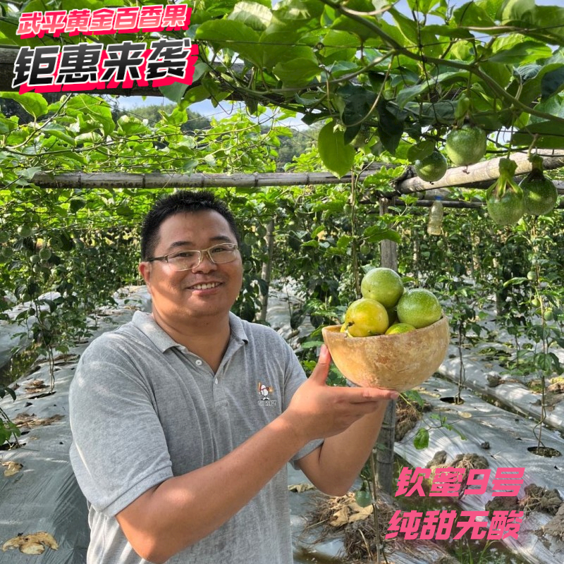 【小果福利款】钦蜜九号武平百香果瑕疵果九甜3斤5斤装顺丰包邮香甜