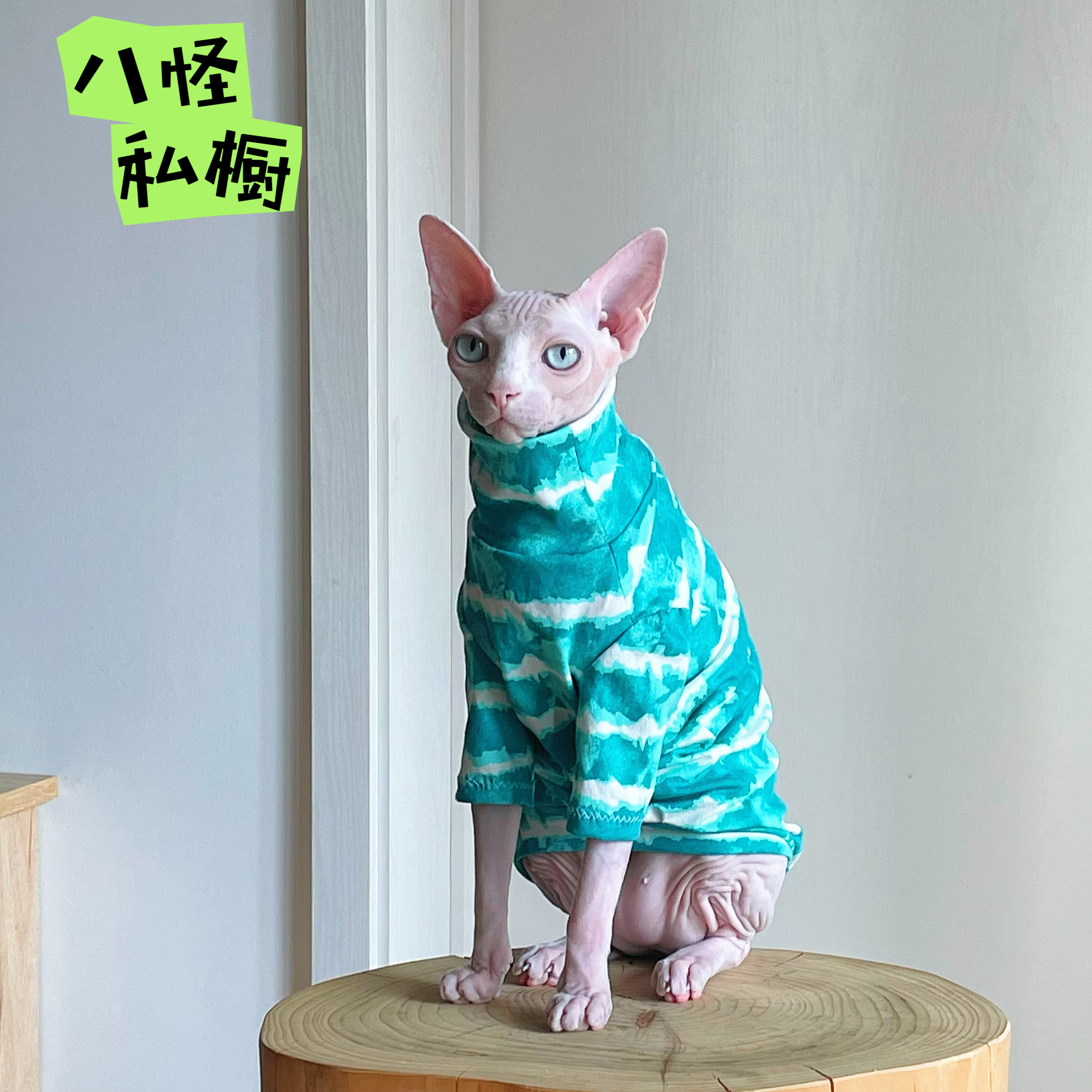 手工制作无毛猫德文猫条纹纯棉弹力透气高领衫蓝色