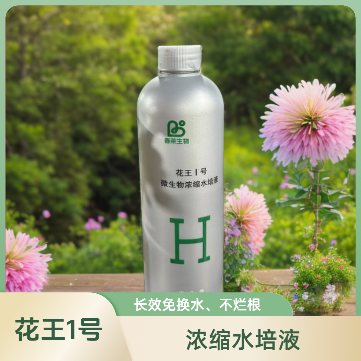 甄选的花王Ⅰ号花卉专用微生物水培植物浓缩营养液