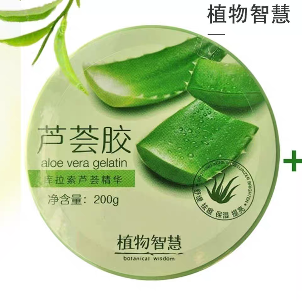 植物智慧库拉索芦荟胶