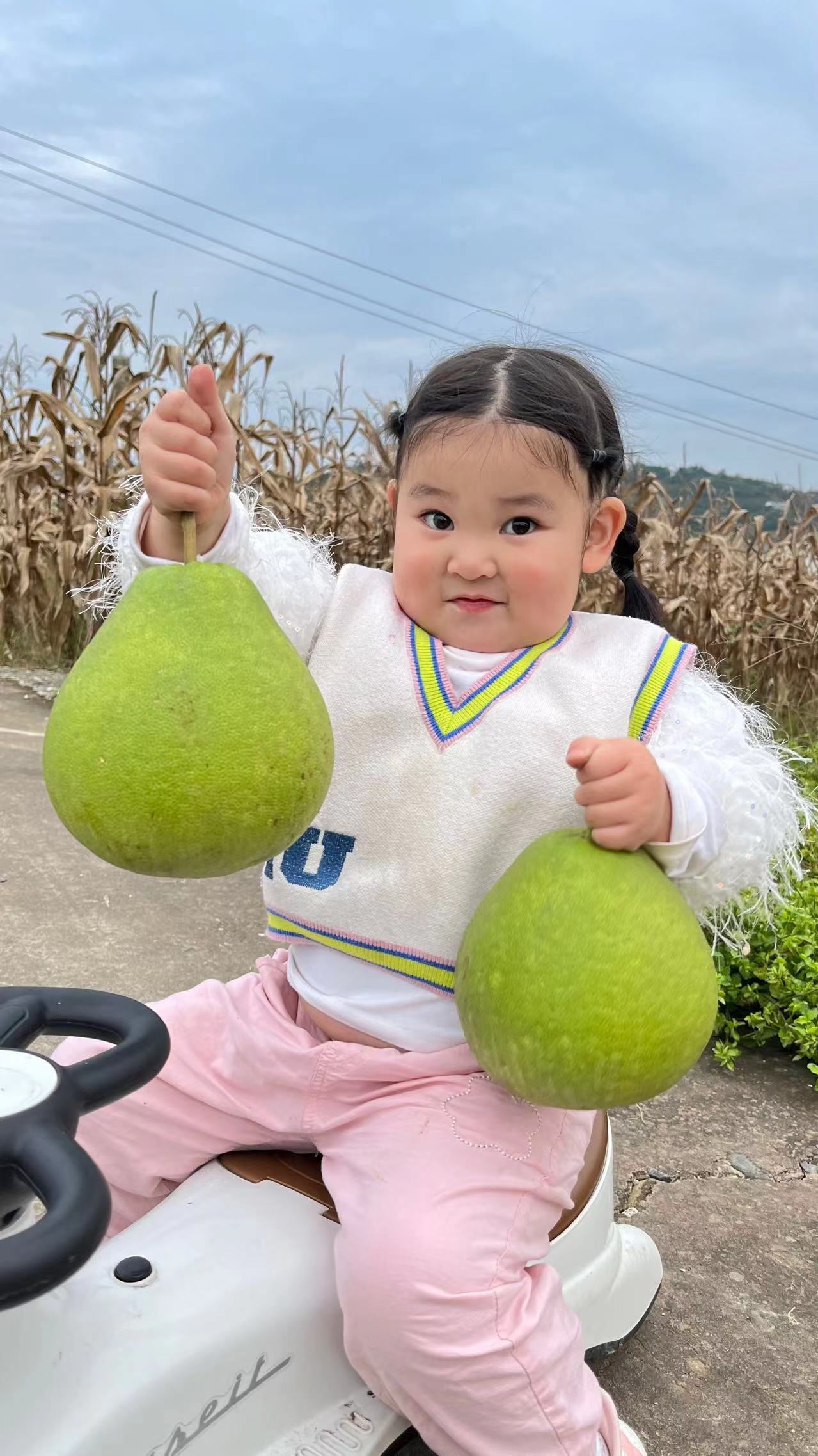 农家野柚子 皮厚肉少籽多 味道清甜4个 6到8斤左右