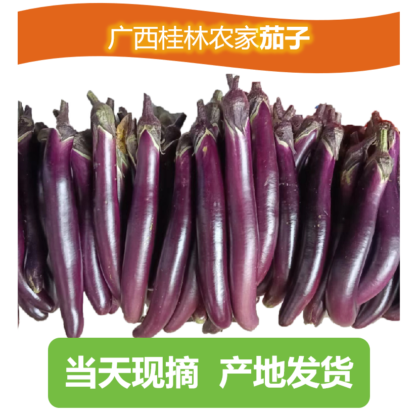 广西桂林农家茄子 