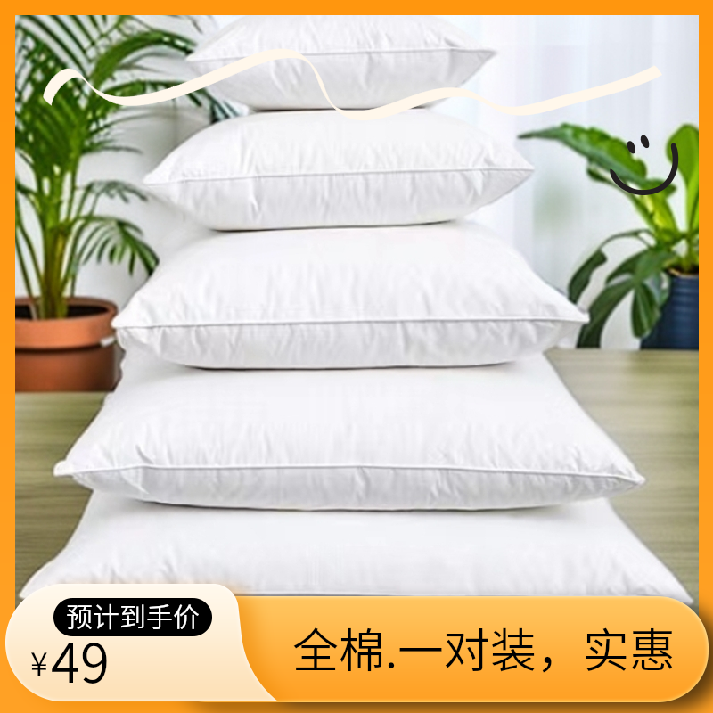 靠枕芯一对纯棉床头方形高弹酒店垫芯沙发套件靠背芯子宿舍结婚备