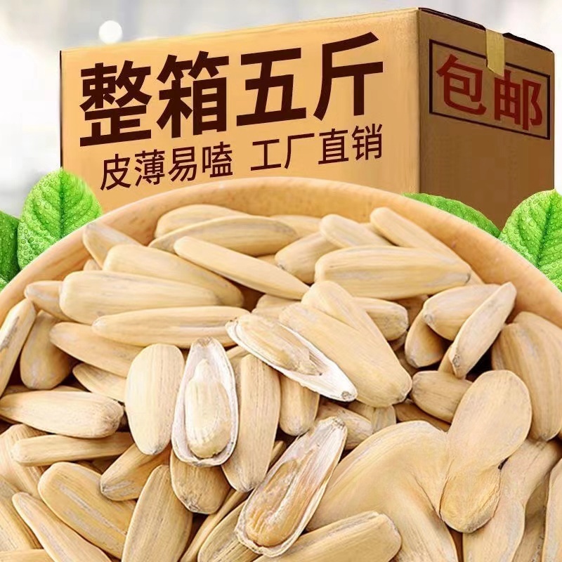 五香特大独立包装厂家直销大颗粒蒙古多味葵花籽正宗团购新货坚果