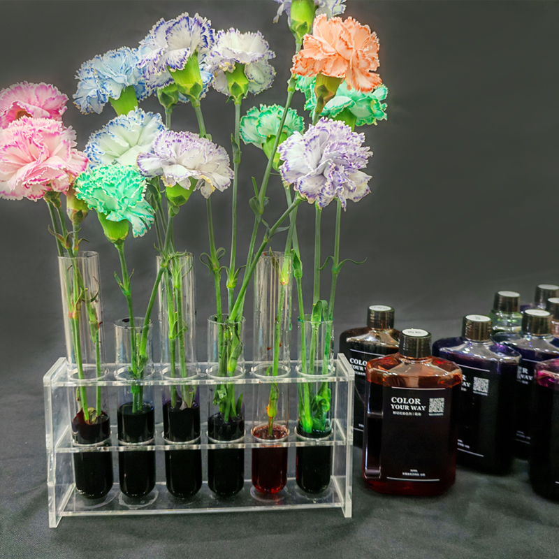 鲜花染色剂吸染 吸色剂 郁金香康乃馨布朗尼 午夜蓝 薄荷曼波染色