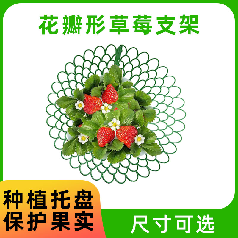 草莓花支架子托盘园艺用品家庭种植架太阳花盆栽苗防腐烂果实支撑