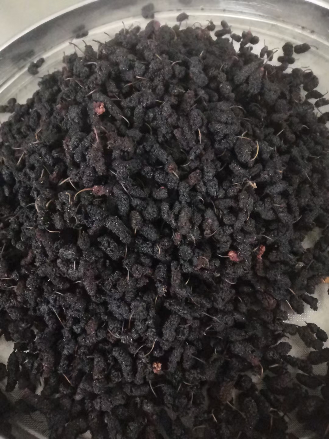 阳山野生桑果农家自晒