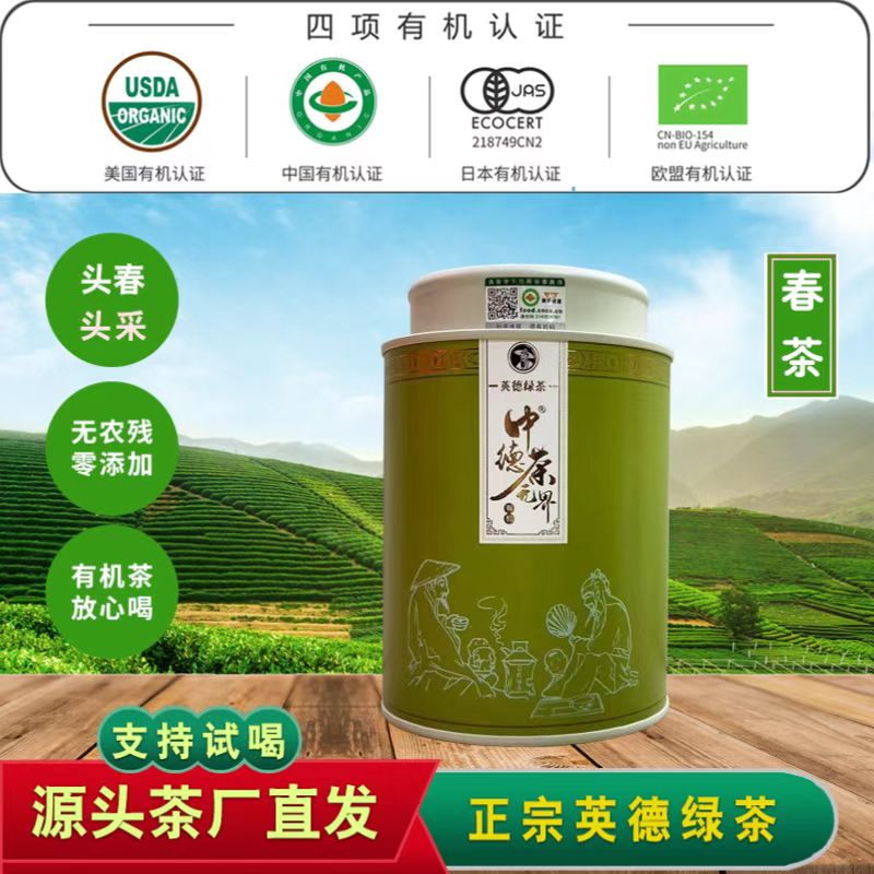 春茶有机绿茶叶功夫绿茶广东英德绿茶正宗官方旗舰店出口品质