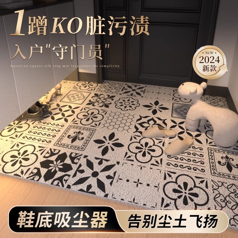 入户门地垫进门门口脚垫丝圈防滑耐脏玄关地毯门外蹭脚垫2025新款