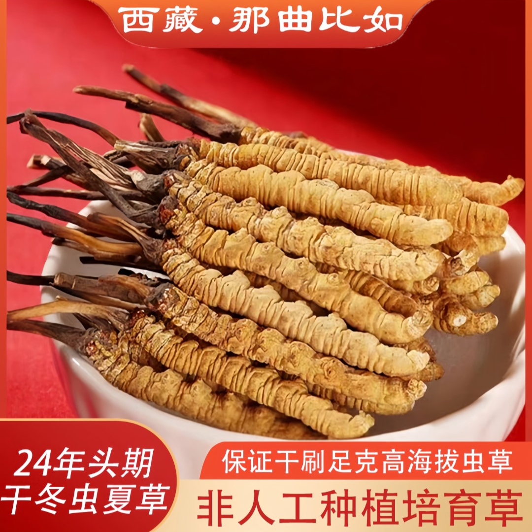西藏那曲正宗冬虫夏草（断草）非人工种植培育虫草