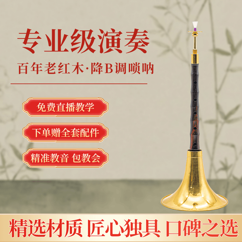 专业级百年老红木降B调唢呐送视频课程伴奏教学群专业唢呐