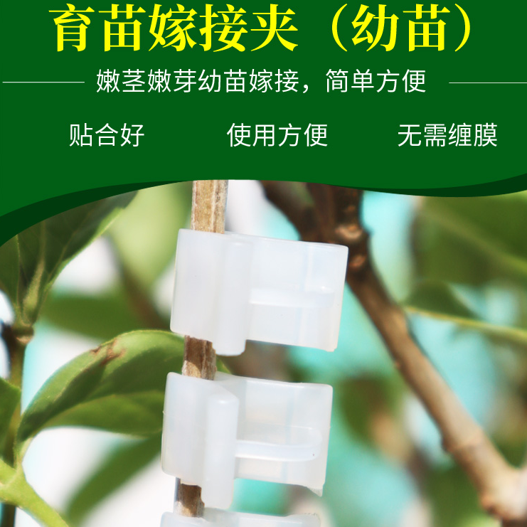 西瓜苗嫁接夹小番茄苗西红柿辣椒黄瓜茄子葡萄苗丝瓜苗秧苗育苗夹