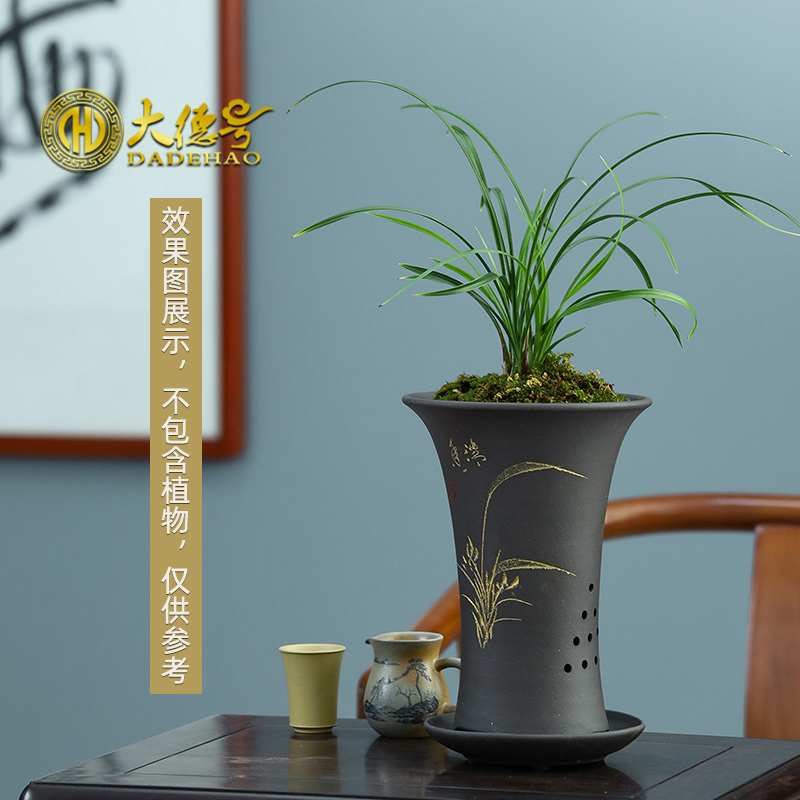 黑泥小喇叭  春兰建兰专用盆