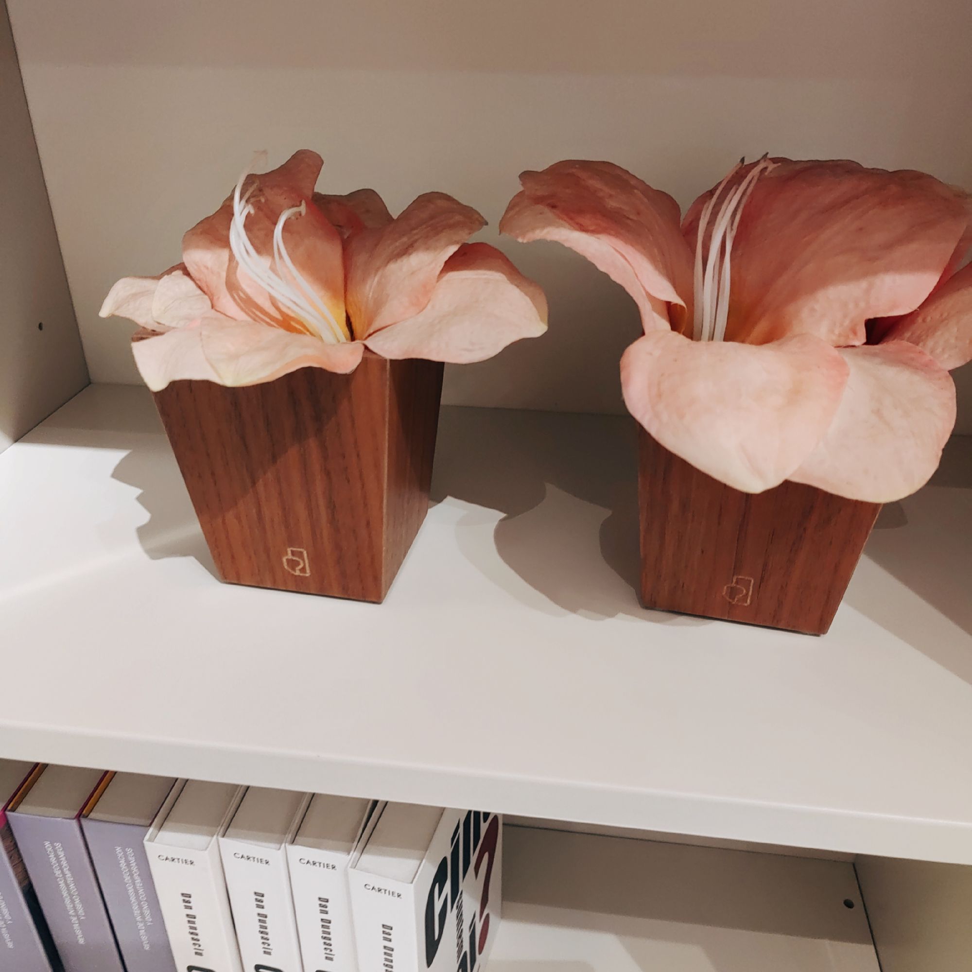 香港DICKSON胡桃木橡木花瓶