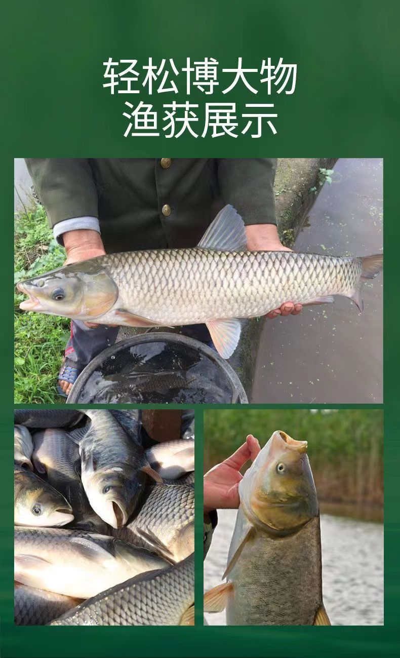 鱼漂运费补差价联系客户确认才可以拍补差价补差价补差价补差价