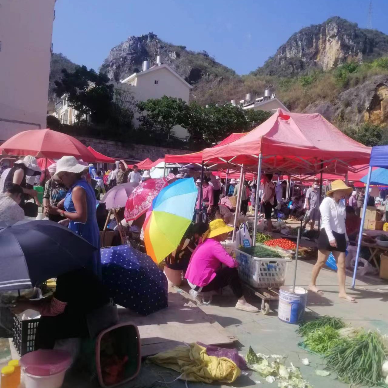  现场赶集链接  其他茶