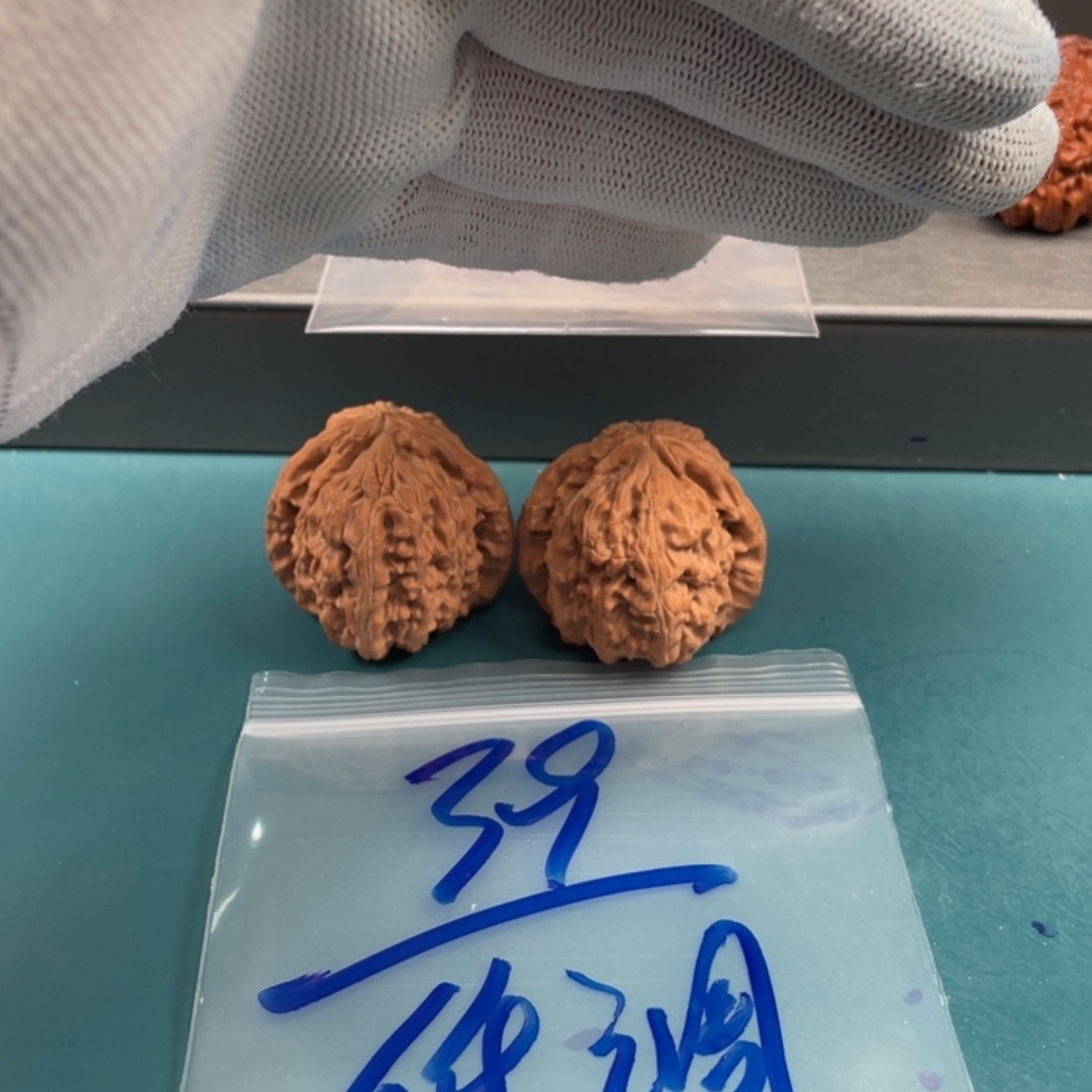 【闪购商品】文玩核桃核雕?**?