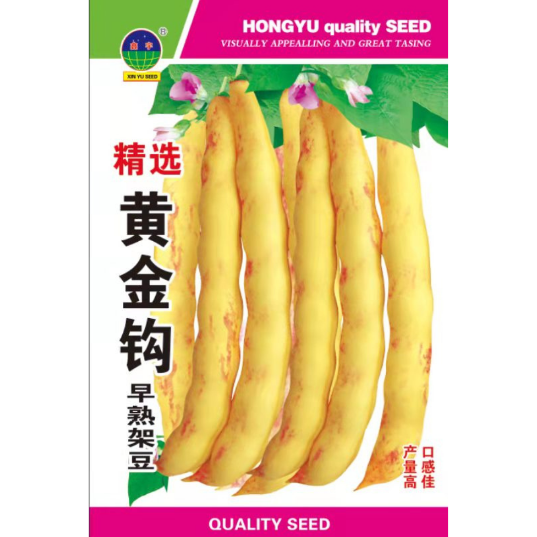精选黄金钩早熟架豆角种子